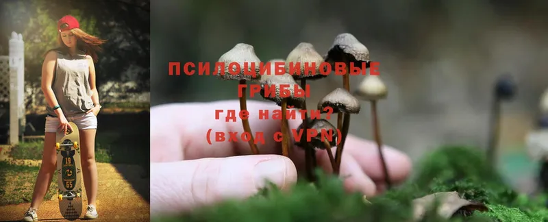 Галлюциногенные грибы Psilocybine cubensis  blacksprut рабочий сайт  Россошь  цена наркотик 